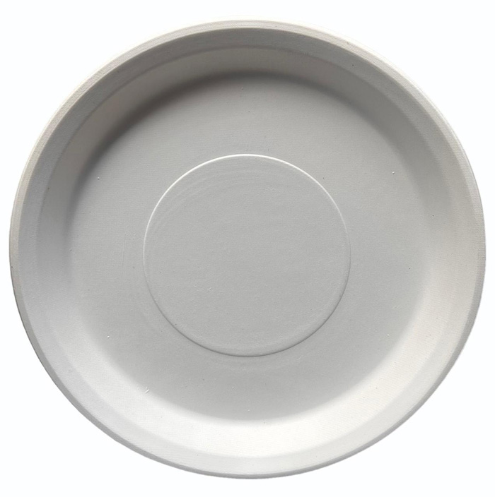 SUGARCANE PLATE NO.12