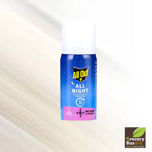 ALL OUT ALL NIGHT MOSQUITO & FLY KILLER SPRAY