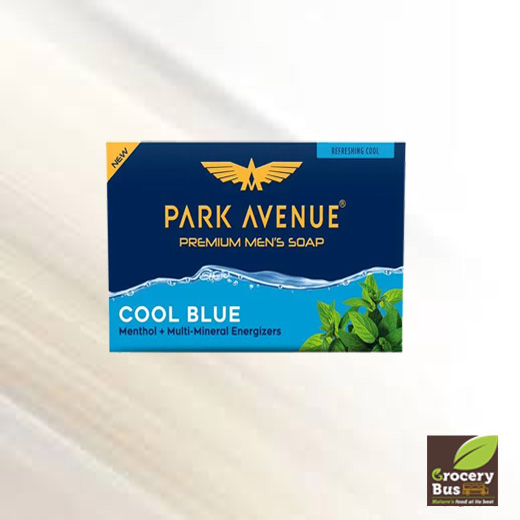PARK AVENUE MENS COOL BLUE SOAP 