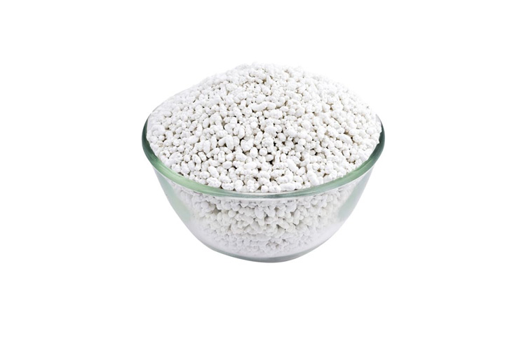 SWEET SOMBU WHITE