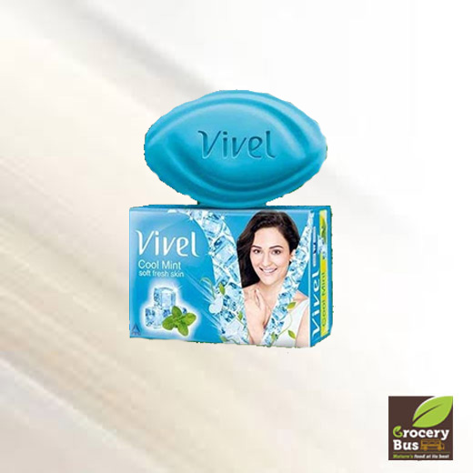 VIVEL COOL MINT SOAP