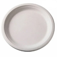 SUGARCANE PLATE NO.10